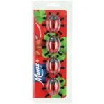 Munz Chocolate Ladybugs – Swiss Praline-Filled Chocolates (4x16g)
